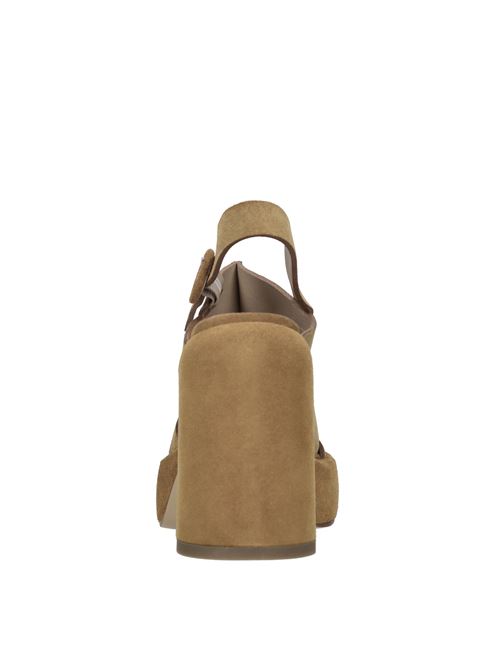  ELENA IACHI | E3852 VELOURCASTORO